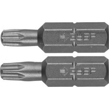 Биты TORX "Мастер" 26005-20/25-25-2 ЗУБР