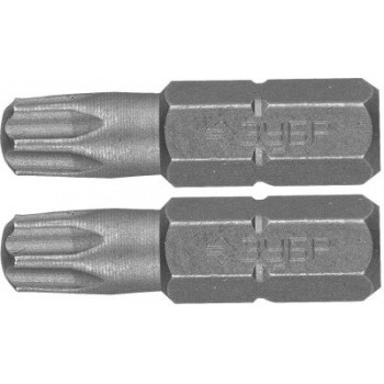 Биты TORX "Мастер" 26005-30-25-2 ЗУБР